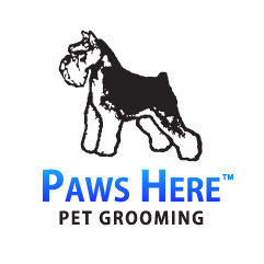 Paws Here
